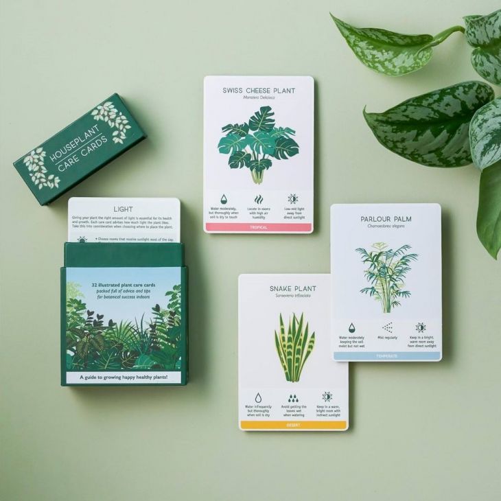 House plant care cards